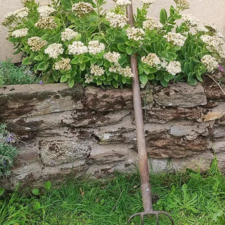 L'oree Du Puy Pensionat Les Herbiers