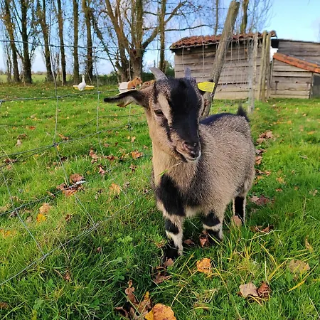 L'oree Du Puy 3* Les Herbiers